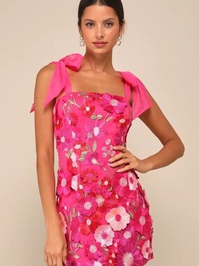 NWT- Hot Pink Floral Embroidered Tie-Shoulder Mini Dress

Size Large